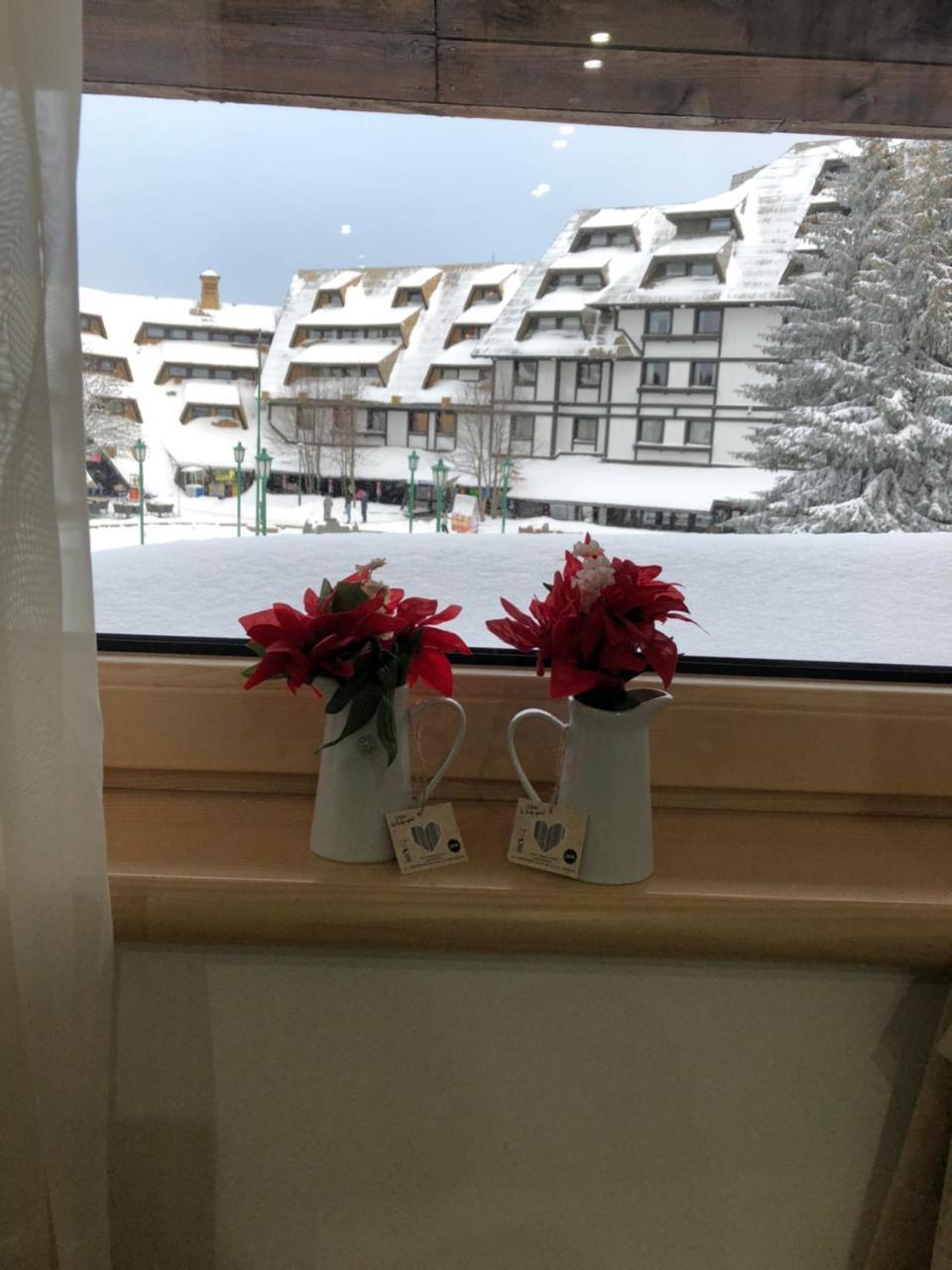 Apartmani Air Kopaonik Luaran gambar